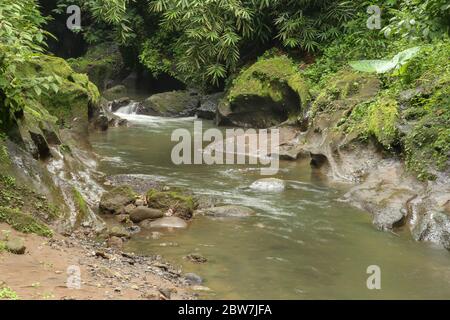 Schöne Textur aus Stein Flussbett poliert von Berg Fluss fließen von wilden Regenwald an einem sonnigen Sommertag umgeben. Bali, Indonesien Stockfoto