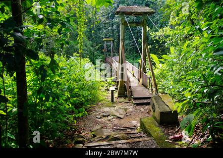 Hängebrücke zum Waldhaus (Maison de la Forêt) in Basse-Terre, Guadeloupe Stockfoto