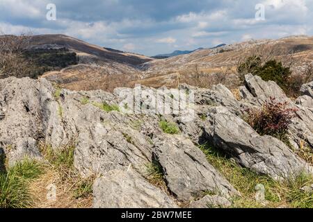 Karstlandschaft, Akiyoshidai Plateau, Yamaguchi, Japan Stockfoto