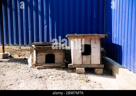 Draußen zwei sehr alte Holzhunde Stockfoto