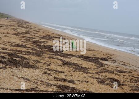 Schönes North Beach Guana River Preserve an der Ostküste, Florida State, USA Stockfoto