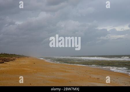 Schönes North Beach Guana River Preserve an der Ostküste, Florida State, USA Stockfoto