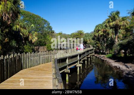 ST AUGUSTINE, FLORIDA, USA - 25. OKTOBER 2017 - Menschen, die auf der Holzboardwalk in der Alligatoren Farm in St. Augustine am 25. Oktober, FL, USA, spazieren Stockfoto