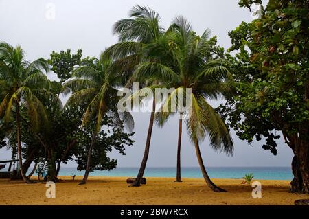 Der Grande-Anse Strand auf Basse-Terre auf der Insel Guadeloupe Stockfoto