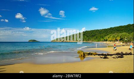 BASSE-TERRE/GUADELOUPE - 12. JANUAR 2019: Sonnenbaden im Sonnenuntergang auf dem schönen Plage De La Perle auf Basse-Terre auf der Insel Guadeloupe Stockfoto