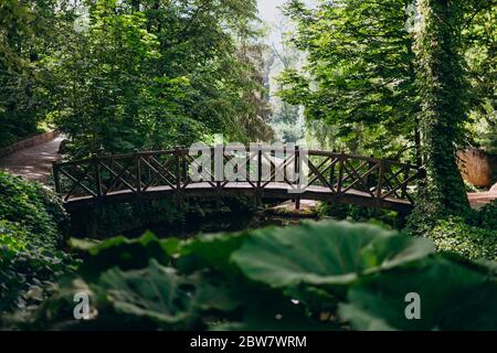 Sofia Park, Uman. Holzbrücke zwischen dem grünen dichten Wald. Holzbrücke im Sommerpark. Schöner Park mit dichtem Gras, hohen Bäumen und einem Wald Stockfoto