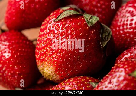 Stapel von frischen reifen roten Erdbeeren im Garten zum Essen, Trocknen, Herstellung von hausgemachten Marmelade oder andere Vorkehrungen für den Winter abgeholt Stockfoto