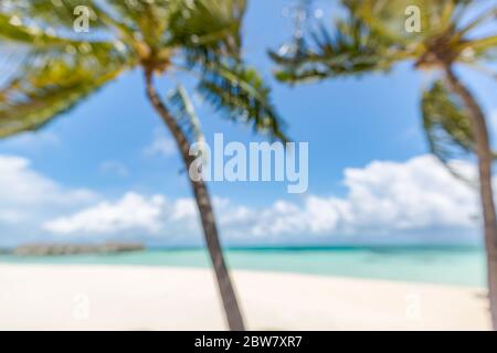 Hintergrund der Strandlandschaft mit verschwommenem Meer und Kokosnussbaum unter blauem Himmel. Exotischer idyllischer Strand, tropische Insel verschwommene Landschaft Stockfoto