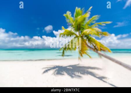 Hintergrund der Strandlandschaft mit verschwommenem Meer und Kokosnussbaum unter blauem Himmel. Exotischer idyllischer Strand, tropische Insel verschwommene Landschaft Stockfoto