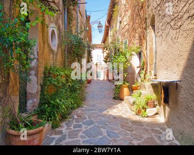 Straße in Ramatuelle Dorf, Französische Riviera, Cote d'Azur, Provence, Südfrankreich Stockfoto