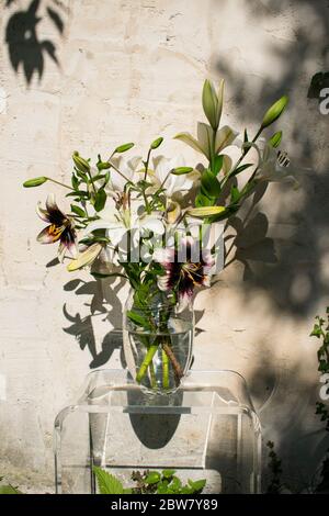 Bouquet de lys Stratacciella Event et Eyeliner Stockfoto