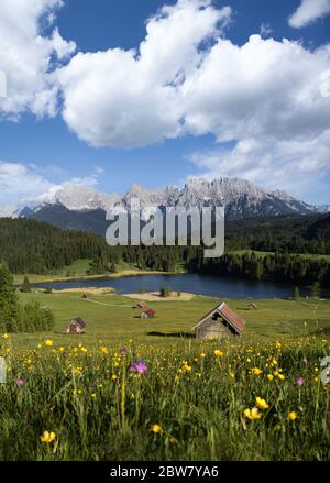 Schöner Blick auf den Geroldsee mit Karwendelgebirge bei Tageslicht - Blumen blühen auf perfekter Naturwiese Stockfoto