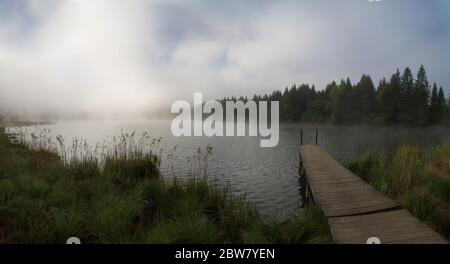 Dampfendes Wasser des Lake Gerold Pier bei nebeligem Morgenaufgang im Frühling Stockfoto