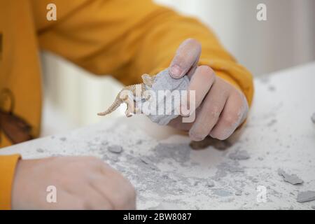 Bild eines Lernspiels, um Fossilien für einen kleinen Archäologen zu finden, mit Kindern Hände graben Stockfoto