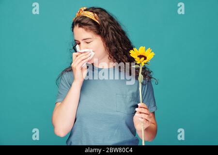 Kranke junge Frau mit Taschentuch, die ihre Nase bläst, während sie Sonnenblume vor sich auf blauem Hintergrund hält Stockfoto