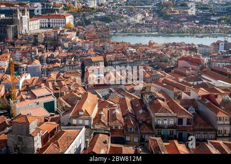 Blick vom Clérigos-Turm auf die Kathedrale von Porto, Porto, Portugal Stockfoto