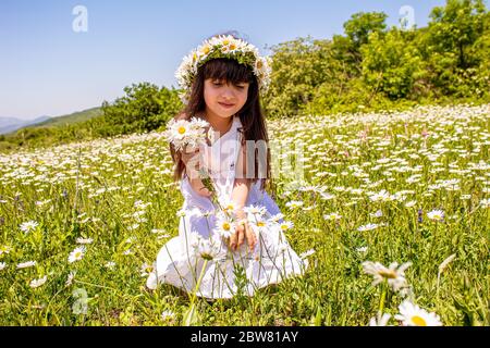 Mädchen mit Gänseblümchen in den Händen auf dem Feld. Selektiver Fokus.Blume Stockfoto