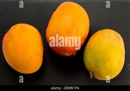 Eine Mangofrucht auf dem dunklen Hintergrund. Minimalistisches Konzept. Stockfoto