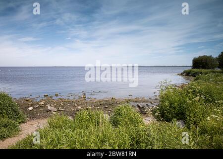 Blick auf den schönen Lough Neagh vom Ufer auf Oxford Island bei Craigavon an einem warmen sonnigen Frühlingstag mit Felsen und Laub im Vordergrund Stockfoto