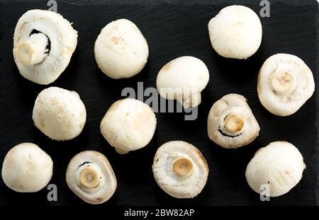 Pilze über schwarz. Nahaufnahme Von Frischen Crimini Pilz Gegen Schwarzen Hintergrund Stockfoto