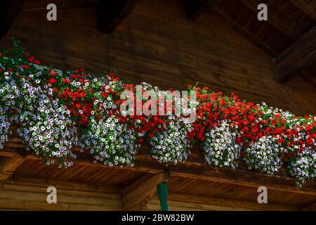 Traditionelle Wodenhausfassade mit bunten Blumen in Tirol, Österreich Stockfoto