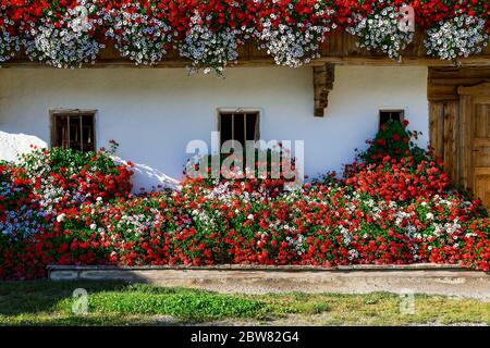 Traditionelle Wodenhausfassade mit bunten Blumen in Tirol, Österreich Stockfoto