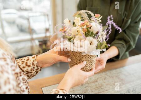 Hände der jungen Frau, die kleinen Korb mit Blumenstrauß beim Besuch Floristen-Shop, um Blumen für ihren Freund oder Mutter zu kaufen Stockfoto