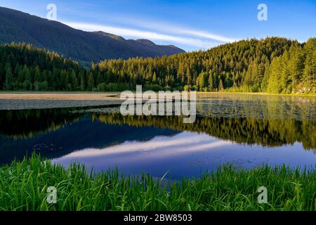 Lower Marsh, Minnekhada Regional Park, Coquitlam, British Columbia, Kanada Stockfoto