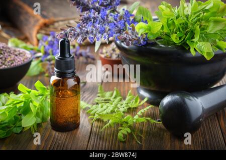 Tropfflasche mit ätherischem Öl oder Infusion, Mörser aus Heidelbeerzweigen und gesunden Buglebrautblüten, Farnblätter. Schalen von Heilkräutern und alten boo Stockfoto