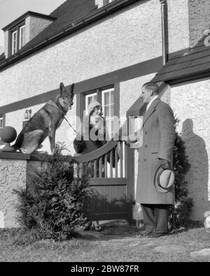 1920er Herbst Szene Frau mit Leine auf deutschen Schäferhund sitzen auf Gartenmauer während im Gespräch mit Mann am Tor - b5453 HAR001 HARS WOHLHABENDE REICHE LEBENSWEISE FRAUEN VERHEIRATET EHEGATTEN EHEMÄNNER MÄNTEL HEIM LEBEN KOPIEREN RAUM FREUNDSCHAFT HALBE LÄNGE DAMEN PERSONEN MÄNNER HAUSTIERE B & W PARTNER SCHÄFERHUND LEINE TOR GLÜCK SÄUGETIERE SCHUTZ ECKZÄHNE AUSSEN HERBST SAISON AUF AUF ZU GEHOBENEN POOCH WOHLHABENDEN RASSE STILVOLLE HUNDE ZUSAMMENARBEIT DEUTSCH SCHÄFERHUND SÄUGETIER MITTE ERWACHSENE MITTE ERWACHSENE MANN MITTE ERWACHSENE FRAU SAISON GUT ZU TUN, WÄHREND FRAUEN HERBSTLICHE SCHWARZ UND WEISS KAUKASISCHEN ETHNIZITÄT HAR001 ALTMODISCH Stockfoto