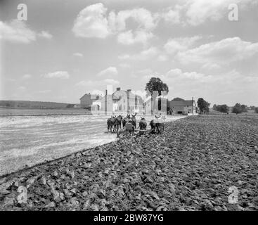 1950ER RÜCKANSICHT AMISH BAUER PFLÜGEN FELD MIT TEAM VON MAULTIEREN WEISS BEMALTE FARMHAUS UND SCHEUNE IM HINTERGRUND PENNSYLVANIA USA - F10860 HEL001 HARS LANDWIRTSCHAFT MÄNNER BODEN TRANSPORT LANDWIRTSCHAFT B&W NORDAMERIKA SCHMUTZ BAUERNHAUS SÄUGETIERE PFLÜGEN SILHOUETTEN FARMER LANCASTER COUNTY ARBEIT PFLÜGEN RÜCKANSICHT BERUFE MAULTIERE FARMLAND GESCHIRR MANLY ANONYME MAULTIER TEAM MAULTIER TEAMS ZURÜCK SEHEN WACHSTUM SÄUGETIER MAULTIER MAULTIER GEZEICHNET TEAMS SCHWARZ UND WEISS KAUKASISCHEN ETHNIZITÄT ALTMODISCH Stockfoto