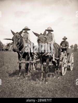 1930ER MANN, DER EINEN BAUERNWAGEN FÄHRT, GEZOGEN VON ZWEI MAULTIEREN JUNGEN, DIE AUF JEDEM MAULTIER SITZEN, DIE BIB-OVERALLS UND STROHHÜTE TRAGEN VIRGINIA USA - F1089 HAR001 HARS WAGON JUVENILE VIRGINIA HORSES TEAMWORK SÖHNE LIFESTYLE BRÜDER LÄNDLICHEN LEBENS TRANSPORT KOPIE RAUM HALBE LÄNGE PERSONEN OVERALLS LANDWIRTSCHAFT MÄNNER RÄDER GESCHWISTER VERTRAUEN TRANSPORT VÄTER LANDWIRTSCHAFT B & W AUGENKONTAKT SÄUGETIERE UND VÄTER BAUERN NIEDRIGEN WINKEL BERUFE GESCHWISTER MAULTIERE VERBINDUNG GEZOGEN WAGEN GURTE BIB ZUSAMMENARBEIT JUGENDLICHE SÄUGETIER MITTE ERWACHSENE MITTE ERWACHSENE MANN MAULTIER PRE-TEEN PRE-TEEN JUNGE MITEINANDER SCHWARZ UND WEISS HAR001 ALTMODISCH Stockfoto