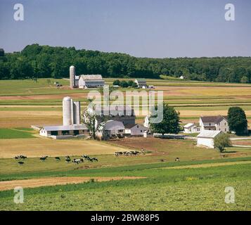 1980ER JAHRE LUFTANSICHT ANONYME AMISH FARMEN WEISS BEMALTE HÄUSER SCHEUNEN GEBÄUDE RINDER IN FELDERN LANCASTER COUNTY PENNSYLVANIA USA - KF12063 HEL001 HARS HOLSTEIN SILOBARNEN ALTMODISCH Stockfoto