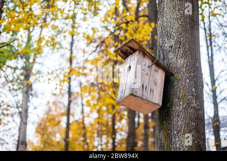 Vogelhaus am Baum. Schutz für Vögel. Ein Haus an einem Baum. Stockfoto