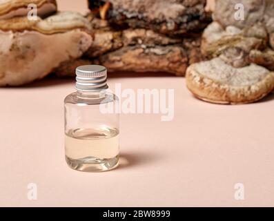 Schönheitspflege. Baumpilz und Glas Sahne auf weißen Nahaufnahme isoliert Stockfoto