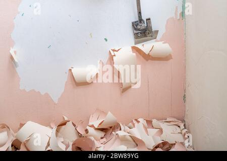 Die alte Latexfarbe von der Wand abblätternd. Mit einem Schaber ein Badezimmer renovieren. Platz - Renovierung zu Hause. Stockfoto