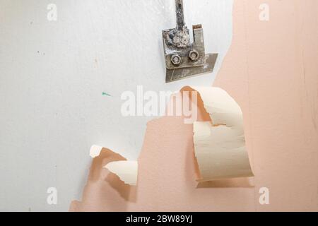 Die alte Latexfarbe von der Wand abblätternd. Mit einem Schaber ein Badezimmer renovieren. Platz - Renovierung zu Hause. Stockfoto