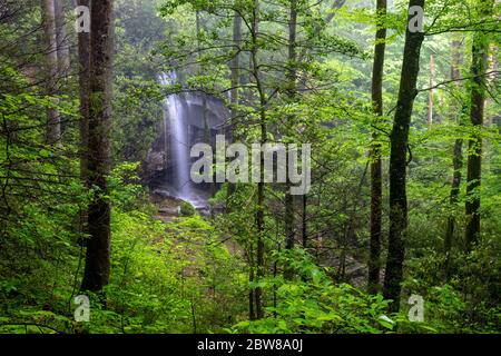 Blick auf Slick Rock Falls durch den Wald im Frühling - Pisgah National Forest, Brevard, North Carolina, USA Stockfoto