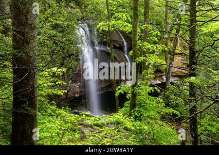 Blick auf Slick Rock Falls durch den Wald im Frühling - Pisgah National Forest, Brevard, North Carolina, USA Stockfoto