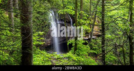 Blick auf die Slick Rock Falls (Panoramabild) - Pisgah National Forest, Brevard, North Carolina, USA Stockfoto