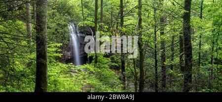 Blick auf die Slick Rock Falls (Panoramabild) - Pisgah National Forest, Brevard, North Carolina, USA Stockfoto