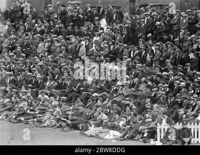 Surrey gegen Nottinghamshire bei der Oval in der County Championship . Teil der Menge, die das Spiel mit Interesse. 28 Juli 1928 Stockfoto