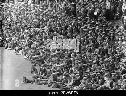 Surrey gegen Nottinghamshire bei der Oval in der County Championship . Teil der Menge, die das Spiel mit Interesse. 28 Juli 1928 Stockfoto