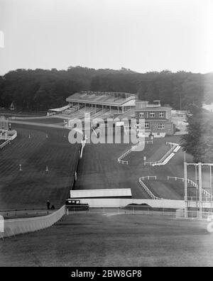 Ein Blick über Goodwood Rennbahn. 27 Juli 1929 Stockfoto