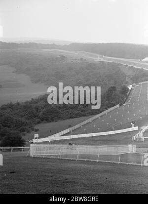 Panorama der Goodwood Rennbahn . 27 Juli 1929 Stockfoto