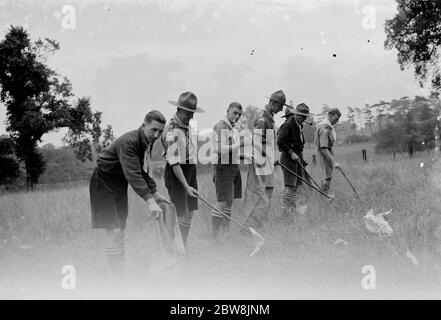 Scout Anti - Wurf Parade . 1935 . Stockfoto