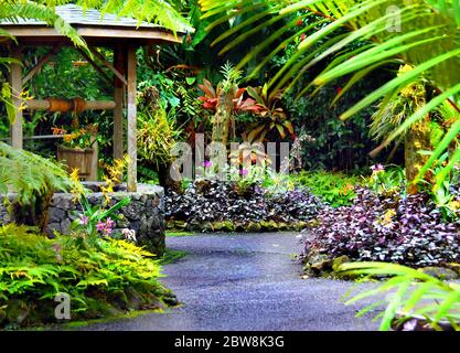 Wishing Well, komplett mit Holzeimer und blühenden Orchideen, sitzt im National Tropical Botanical Garden auf der Big Island von Hawaii. Stockfoto