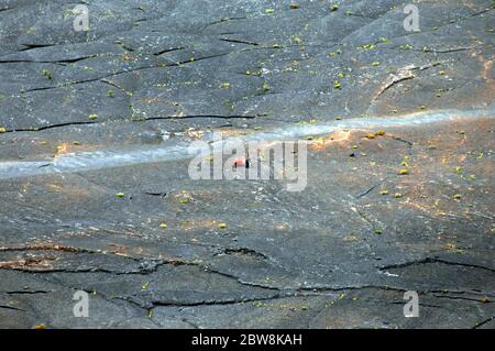 Der Kilauea Iki Trail führt über den Puu Puai Vulkan Krater im Hawaii Volcanoes National Park auf der Big Island von Hawaii. Paar Ruhe und Photogr Stockfoto