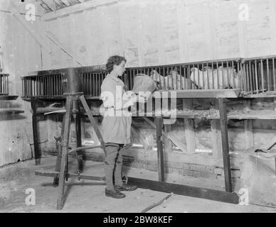 Ein junger Farmarbeiter Bauer füttert ihre Hühner. 1935 . Stockfoto