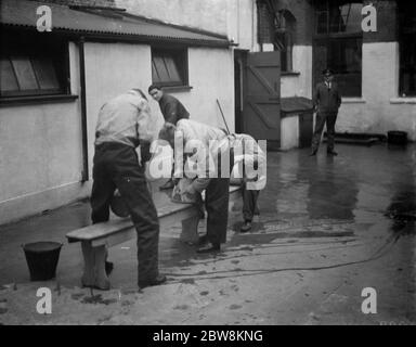 Trainee Segler in Gravesend schrubben die Bootsbänke unter wachsamen Augen. 1938 Stockfoto